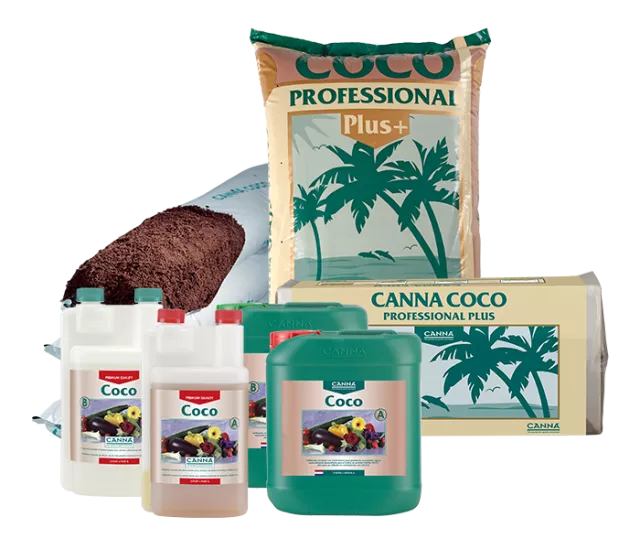 CANNA COCO